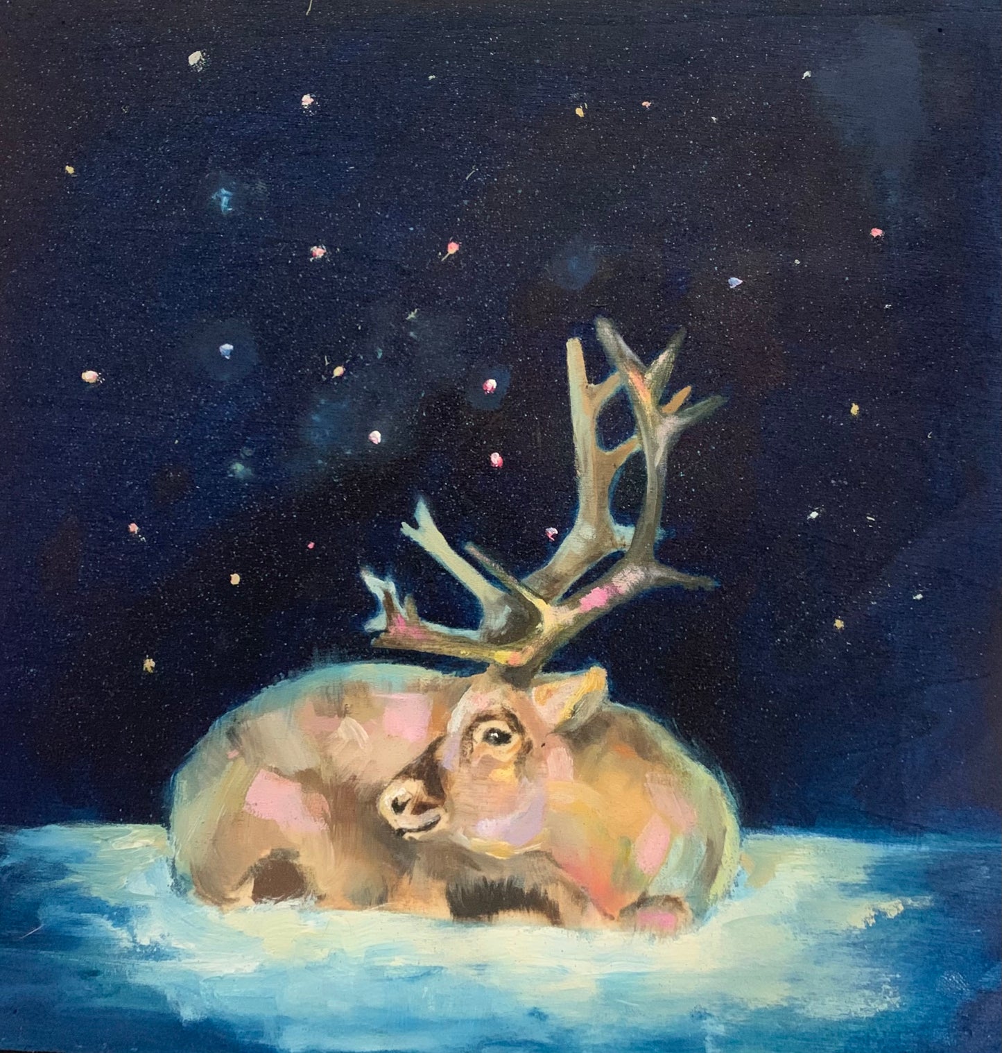 Arctic Christmas Cards